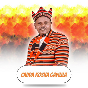 Alemayehu Zassa - Chada Kosha Gayliya Menta