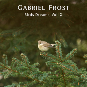 Hearts Beat Quiet & Birds Dream by Gabriel Frost