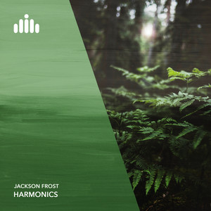 Jackson Frost — Harmonics