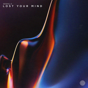 Lost Your Mind by Seismal D