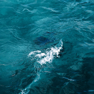 Floating in Silence