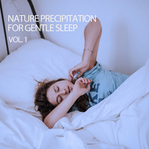 Nature Precipitation For Gentle Sleep Vol. 1 album