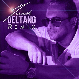 Deltang - Remix — Siavash cover art