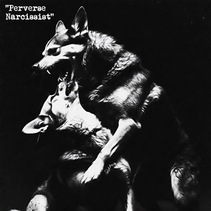 Kitsune — PERVERSE NARCISSIST (2026)