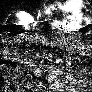 album cover: Manor of Primitive Anticreation