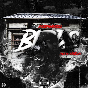 Portada de Birds
