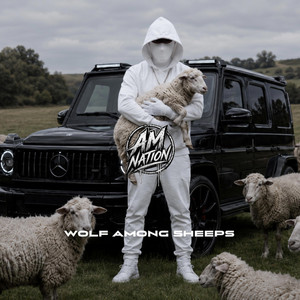 Wolf Among Sheeps by AM NATION