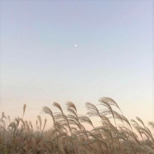 bando - dreamy (remix) by ruur Album Cover