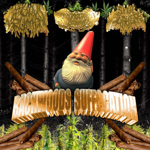 Backwoods Suffocation - Suffocation Remix by Skin Flayer, Larry Wang, Fatuous Rump, Regurgitated Devourer