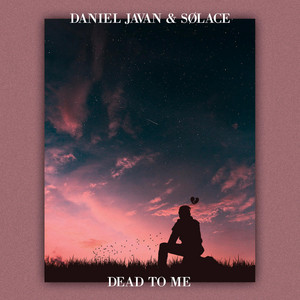 Dead to Me by Daniel Javan, Solace
