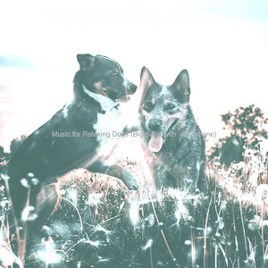 Music for Relaxing Dogs (Big Band with Vibraphone) album