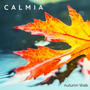 Autumn Walk