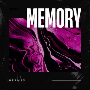 Memory by HERM3S