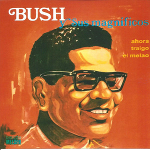 Sonerito by Bush Y Sus Magníficos