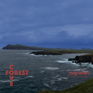 migraine by forest cove