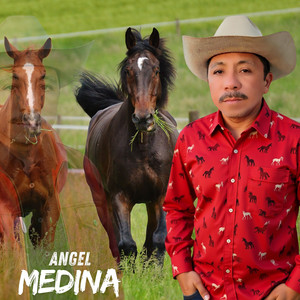 Llanero Recio y Cabal by Angel Medina
