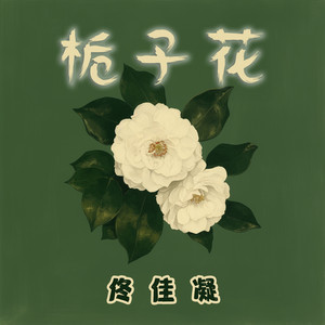 栀子花 by 佟佳凝