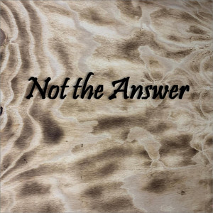 Not the Answer by Banjo Bones
