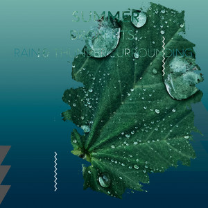 zZz Summer Droplets: Rain & Thunder Surrounding the Woods zZz album