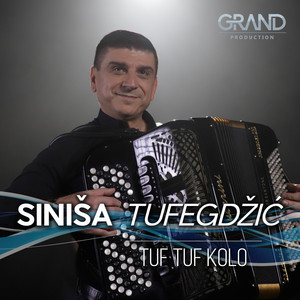 Sinisa Tufegdzic poster