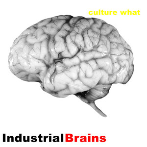 Narcolepepsy - Shocked Culture