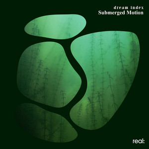 Submerged Motion by dream index