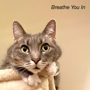 Breathe You In - Instrumental