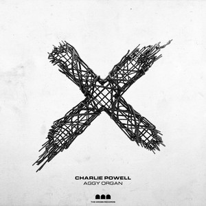 Aggy Organ by Charlie Powell