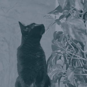 Rayne - Beautiful Things