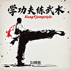 学功夫练武术- Single by DJ铁柱| Spotify