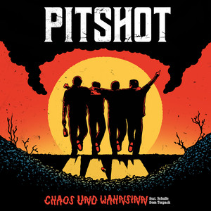Chaos und Wahnsinn (feat. Schulle von Toxpack)