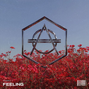 SoWhy? — Feeling (2026)