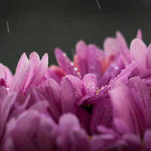 ابو النعيم المدني - اللهم احفظ لي أولادي و يسر لهم أمورهم (Étendue)