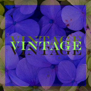 Vintage Vintage by GMSOMESPACE, Key Notez
