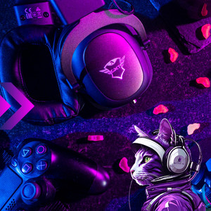 LMS - Pursue What You Like