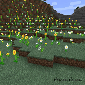Garçons Canons - Sunflowers & Daisies