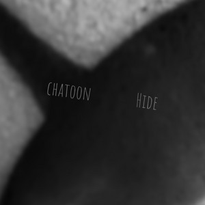 Обкладинка: Hide