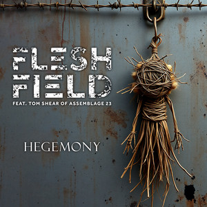Hegemony by Flesh Field, Assemblage 23