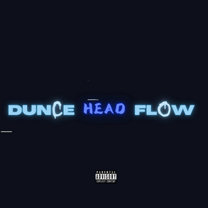 Dunce Head Flow by N2S Records, SamDan
