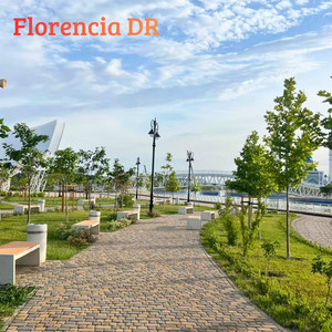 Dificultades by Florencia DR