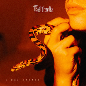 I Was Voodoo by The Criticals