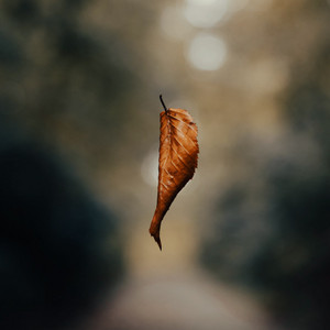 Reminiscence