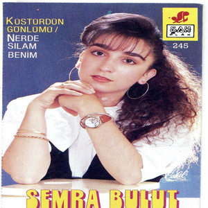 Semra Bulut - Unutursun Diye