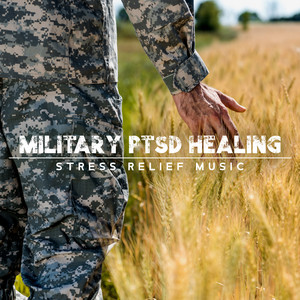 Military PTSD Healing: Stress Relief Music to Soothe PTSD Symptoms, Insomnia, Anxiety (Nature Sounds) album