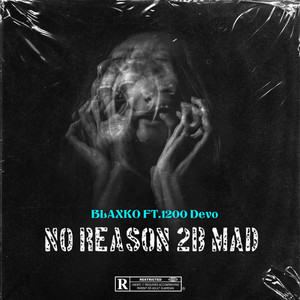 NO REASON 2B MAD