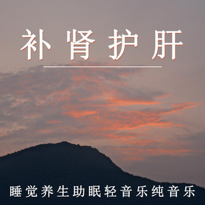 補腎護肝 睡覺養生助眠輕音樂純音樂