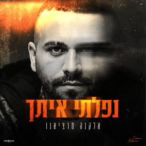 נפלתי איתך by אלקנה מרציאנו