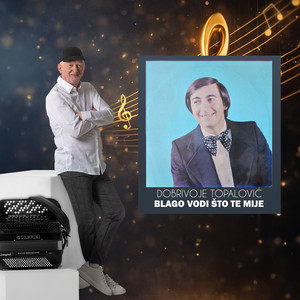 Dobrivoje Topalovic artist photo