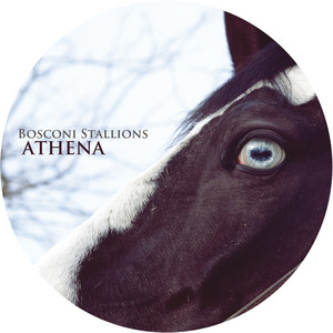 Bosconi Stallions - Athena — Various Artists