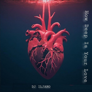 How deep is your love by Dj Iljano